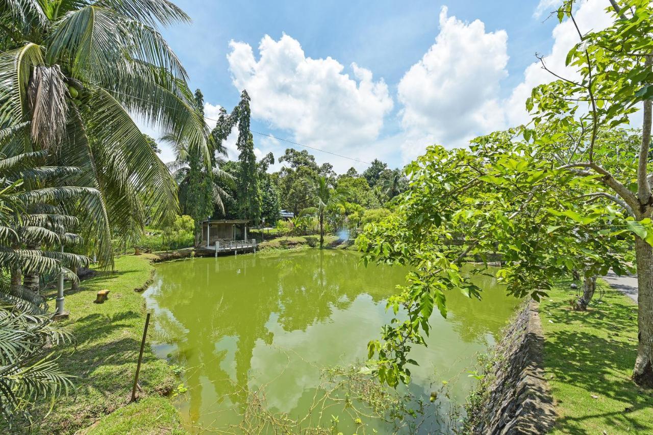 Oyo 90636 Teratak Zakiah Chalet Jerantut Exterior foto