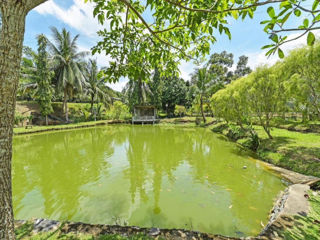 Oyo 90636 Teratak Zakiah Chalet Jerantut Exterior foto
